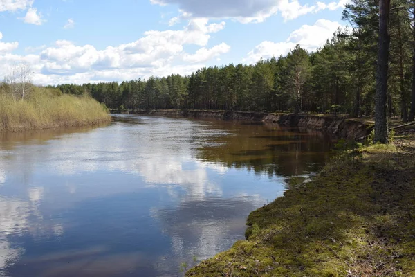 Vista Del Reflejo Del Cielo Las Nubes Río Bosque — Foto de Stock