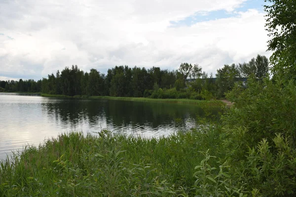 Vista Grama Verde Margem Lago — Fotografia de Stock