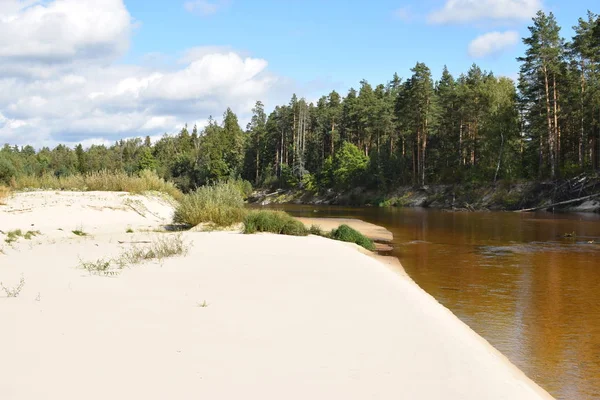 Orman Nehri'nin kum kıyısında güneşli bir günün görünümü.