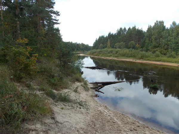Ağaçların ve gökyüzünün yansıması ile nehrin kum kıyısında görünümü.