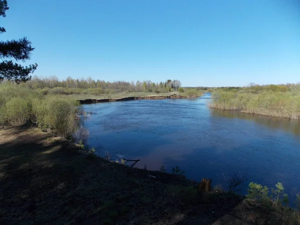 View Turn Forest River Blue Sky — Stock Photo, Image