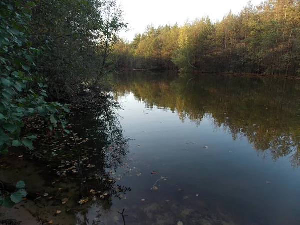 Der Blick Auf Die Reflexion Des Laubwaldes Fluss — Stockfoto