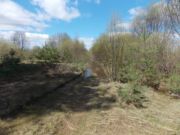 Bahar alan yolun karşı parlak mavi gökyüzü görünümü