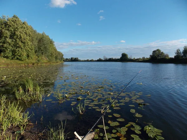 Vista Longo Lago Floresta Contra Céu Azul — Fotografia de Stock