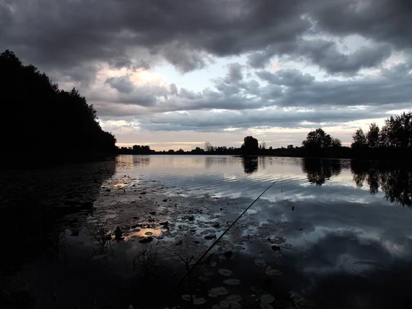 Vista Puesta Sol Lago Del Bosque Con Nenúfar — Foto de Stock