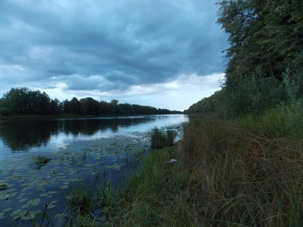 Visão Perspectiva Lago Floresta — Fotografia de Stock