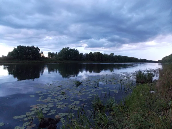 Visão Perspectiva Lago Florestal — Fotografia de Stock