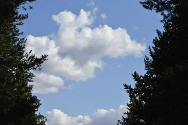 Hermosa Vista Las Nubes Cielo Azul Brillante Visible Espacio Entre — Foto de Stock