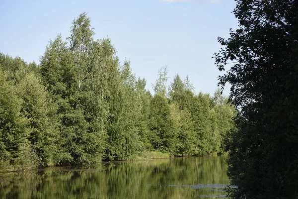 Piękny Widok Lasu Mieszanego Brzegach Rzeki — Zdjęcie stockowe