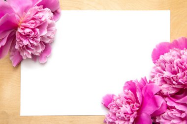 Kırsal ahşap arka planda pembe şakayıklı beyaz kağıt kart. Çiçekler. Çalışma alanı. Selamlar için boşluk..