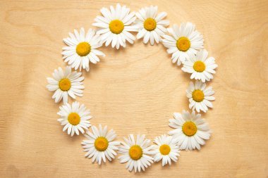 Kırsal ahşap arka planda papatyalı çiçekler. Çalışma alanı. Selamlar için boşluk..