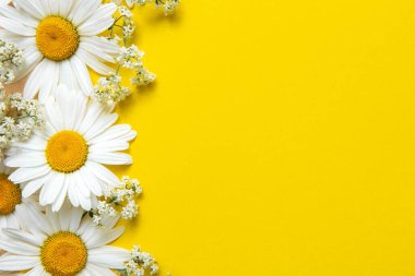 Sarı arka planda bahar yaz deseni papatya çayı.