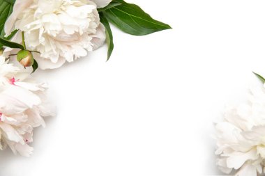 Çiçek çerçevesi arka planı. Şakayıklı beyaz kağıt kart. Çalışma alanı. Selamlar için boşluk.