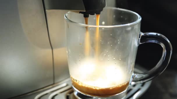 Coffee maker brews and pours coffee into a glass cup at the morning. Breakfast — Stock Video
