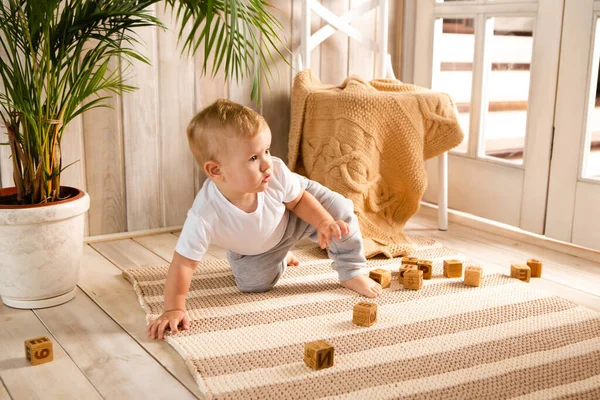 Niño Pequeño Trenzado Con Bloques Cubo Madera Alfombra Punto Interior —  Fotos de Stock