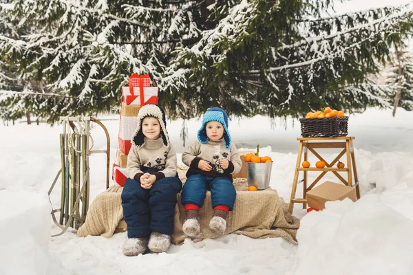 Dwóch chłopców z pudełkami, mandarynkami i saniami na świeżym powietrzu. Zimowa świąteczna aktywność — Zdjęcie stockowe