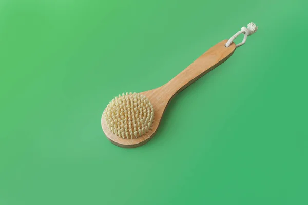 One Brush Made Natural Cactus Shield Wash Body Green Backgroun — Stock Photo, Image
