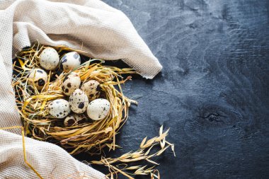 Siyah arka planda küçük bıldırcın yumurtaları. Boşluğu kopyala