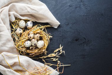 Siyah arka planda küçük bıldırcın yumurtaları. Boşluğu kopyala