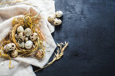 Siyah arka planda küçük bıldırcın yumurtaları. Boşluğu kopyala