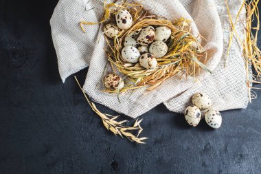 Siyah arka planda küçük bıldırcın yumurtaları. Boşluğu kopyala