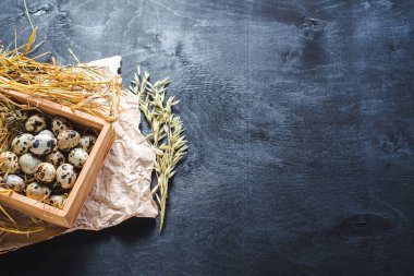 Siyah arka planda tahta kutuda küçük bıldırcın yumurtaları. Boşluğu kopyala