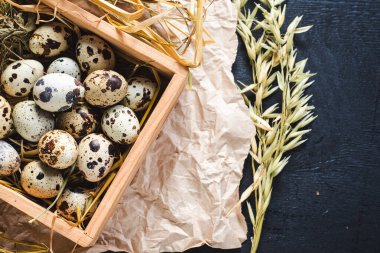Siyah arka planda tahta kutuda küçük bıldırcın yumurtaları. Boşluğu kopyala