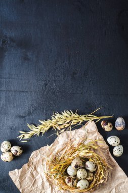 Siyah arka planda küçük bıldırcın yumurtaları. Boşluğu kopyala