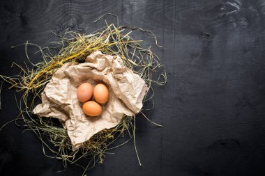 Siyah arka planda tavuk yumurtası. Boşluğu kopyala