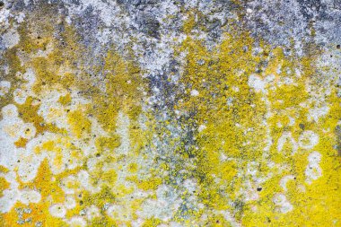 Sarı benekli bir beton.