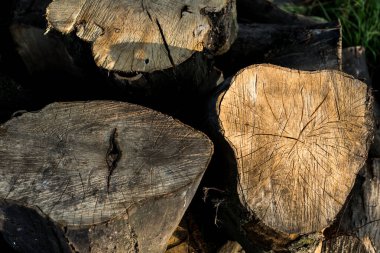 Günlük kaydını yarım arkaplanda kes