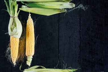 Siyah arka planda çiğ mısır. Boşluğu kopyala