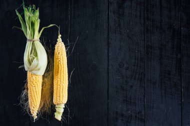 Siyah arka planda çiğ mısır. Boşluğu kopyala