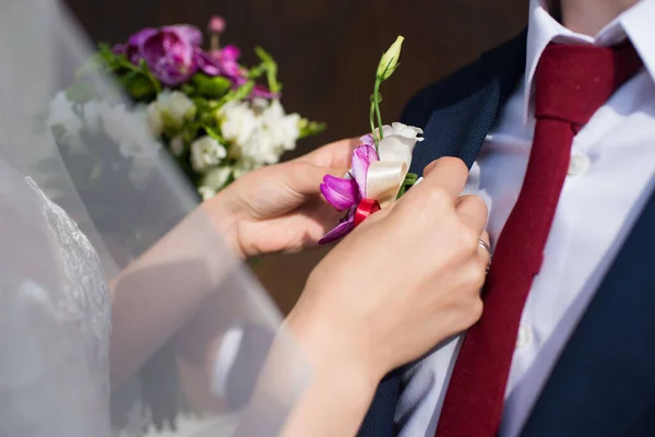 Bride Pins Butonhole Grooms Suit — Stock Photo, Image