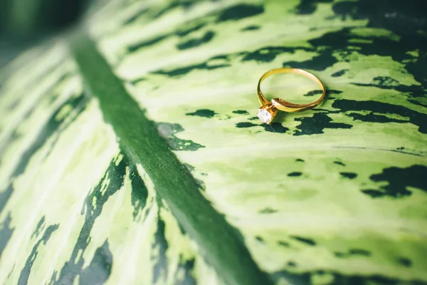 Shiny Gold Ring Stone Green Leaf — Stock Photo, Image