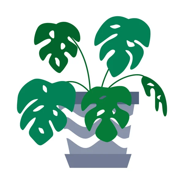 Planta Tropical Exótica Maceta Ilustración Vectorial Plana — Vector de stock