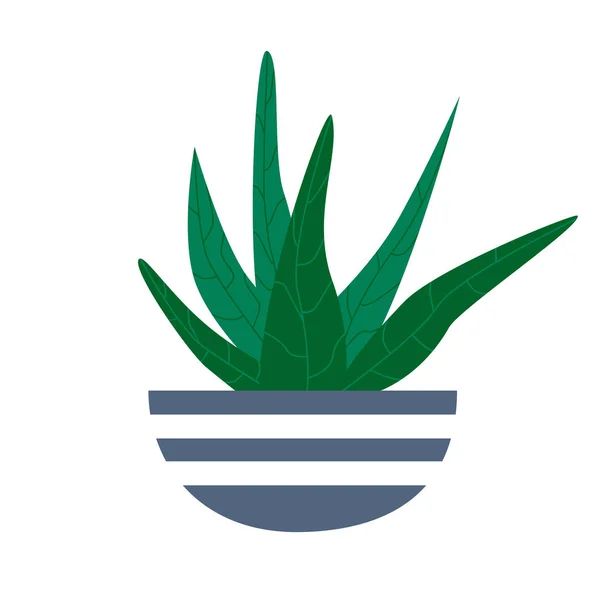 Planta Tropical Exótica Maceta Ilustración Vectorial Plana — Vector de stock