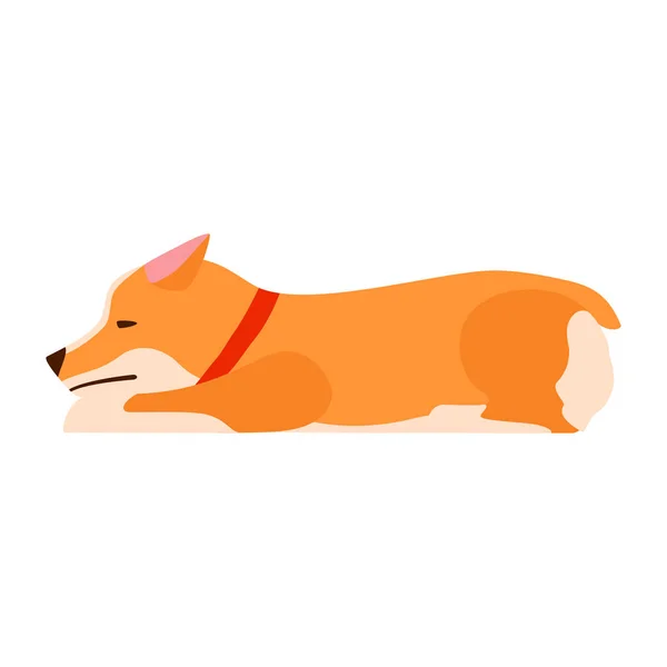 Smutny pies. Znudzony szczeniak. Welsh Corgi. Płaska ilustracja. — Wektor stockowy