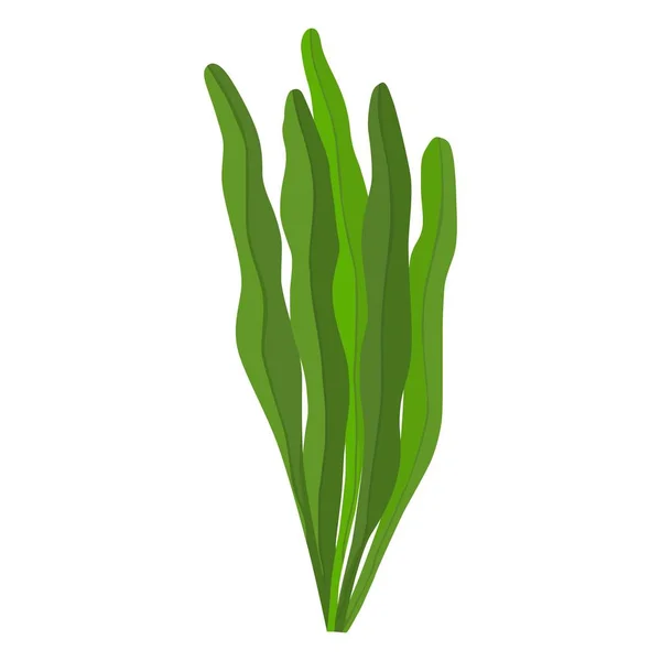 Spirulina algen vector icoon op witte achtergrond. — Stockvector