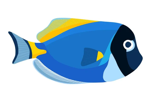 Poeder blauwe Tang vis. Acanthurus chirurg Fish icon — Stockvector