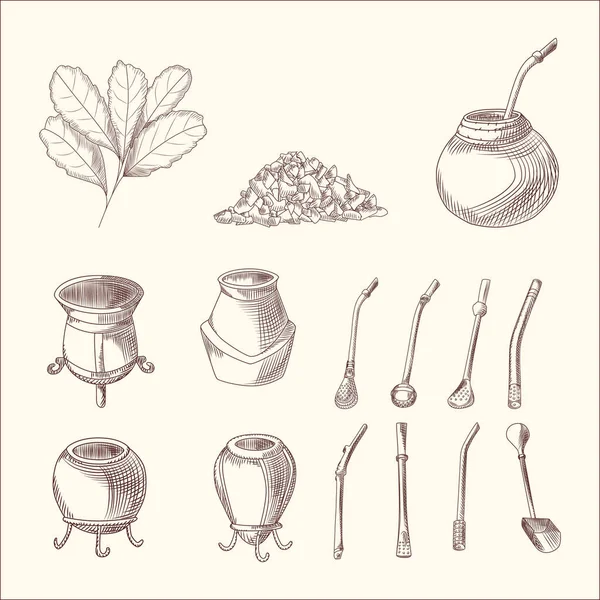 Conjunto de yerba mate rama de té, calabaza y bombilla. Hoja de té mate . — Archivo Imágenes Vectoriales