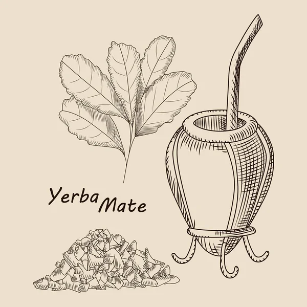 Concepto de calabaza y bombilla para bebida yerba mate aislada — Archivo Imágenes Vectoriales