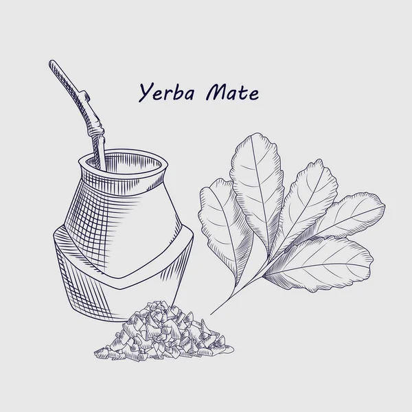 Begreppet Yerba Mate dryck isolerad på bakgrunden. — Stock vektor