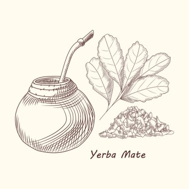 Yerba dostum içki. Geleneksel Güney Amerika içkisi. Calabash, bombilla