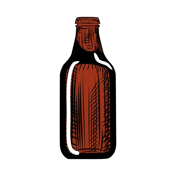 Bottiglia di birra robusta. Stile di incisione. Illustrazione disegnata a mano isolato — Vettoriale Stock