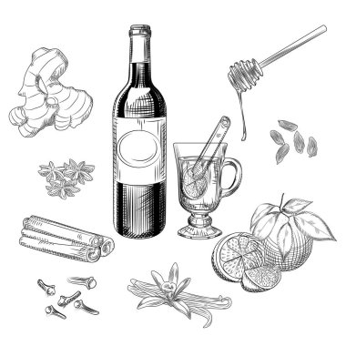 El çizilmiş narenciye mulled şarap ve baharat seti. Mulled şarap malzemeleri.