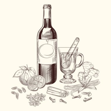El çizilmiş narenciye mulled şarap ve baharat seti. Mulled şarap malzemeleri.