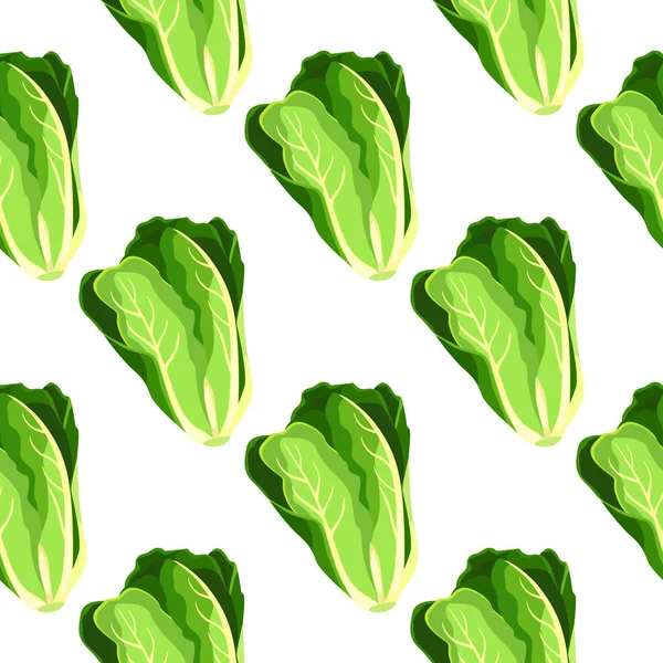 Romaine salad lettuce plant seamless pattern illustration — Stock Vector