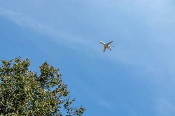 Avión Vuela Cielo Azul Avión Vuela Bajo Sobre Los Árboles —  Fotos de Stock