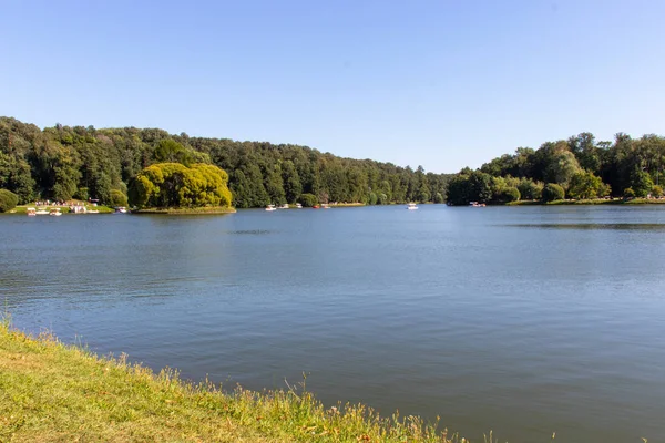 Pond Green Trees Shore Blue Clear Sky Green Grass Lake — Stock Photo, Image